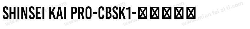 Shinsei Kai Pro-CBSK1字体转换